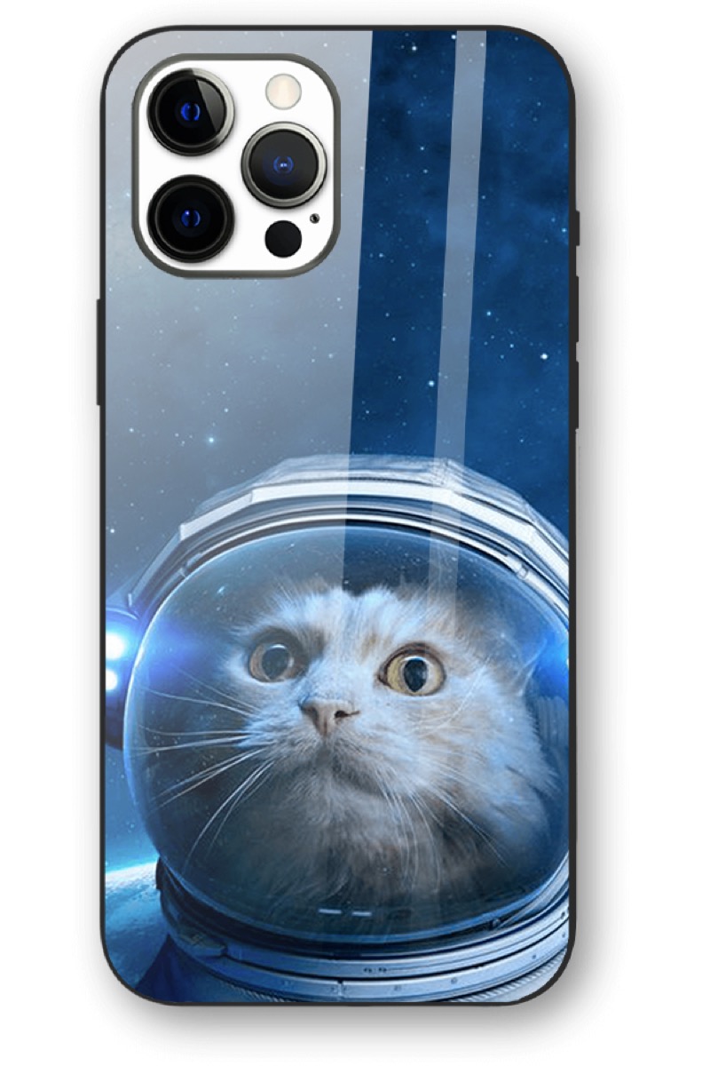 Space Cat 6